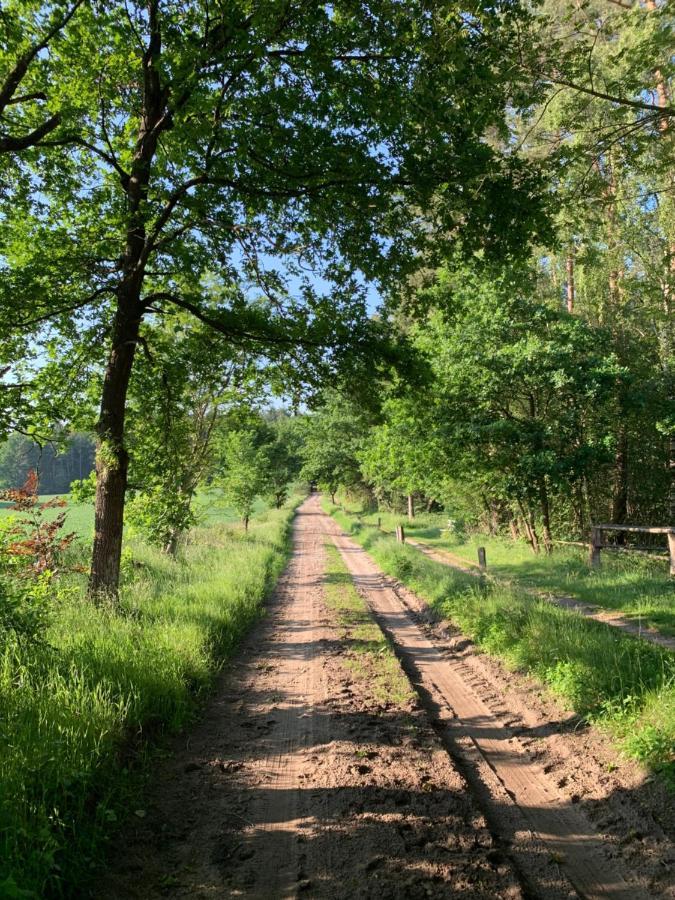 Loh Apartments - Wald.Natur.Ruhe. Undeloh Esterno foto