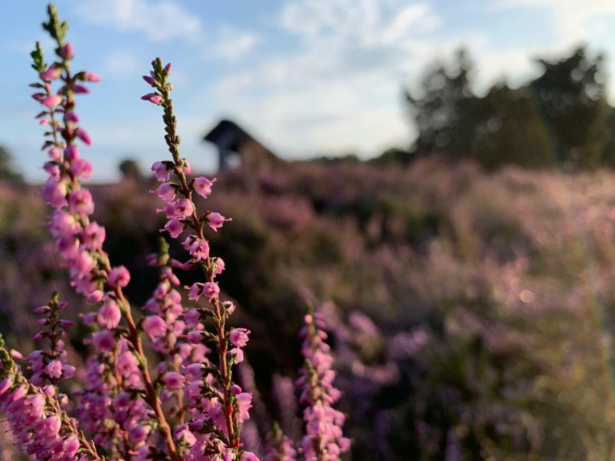 Loh Apartments - Wald.Natur.Ruhe. Undeloh Esterno foto